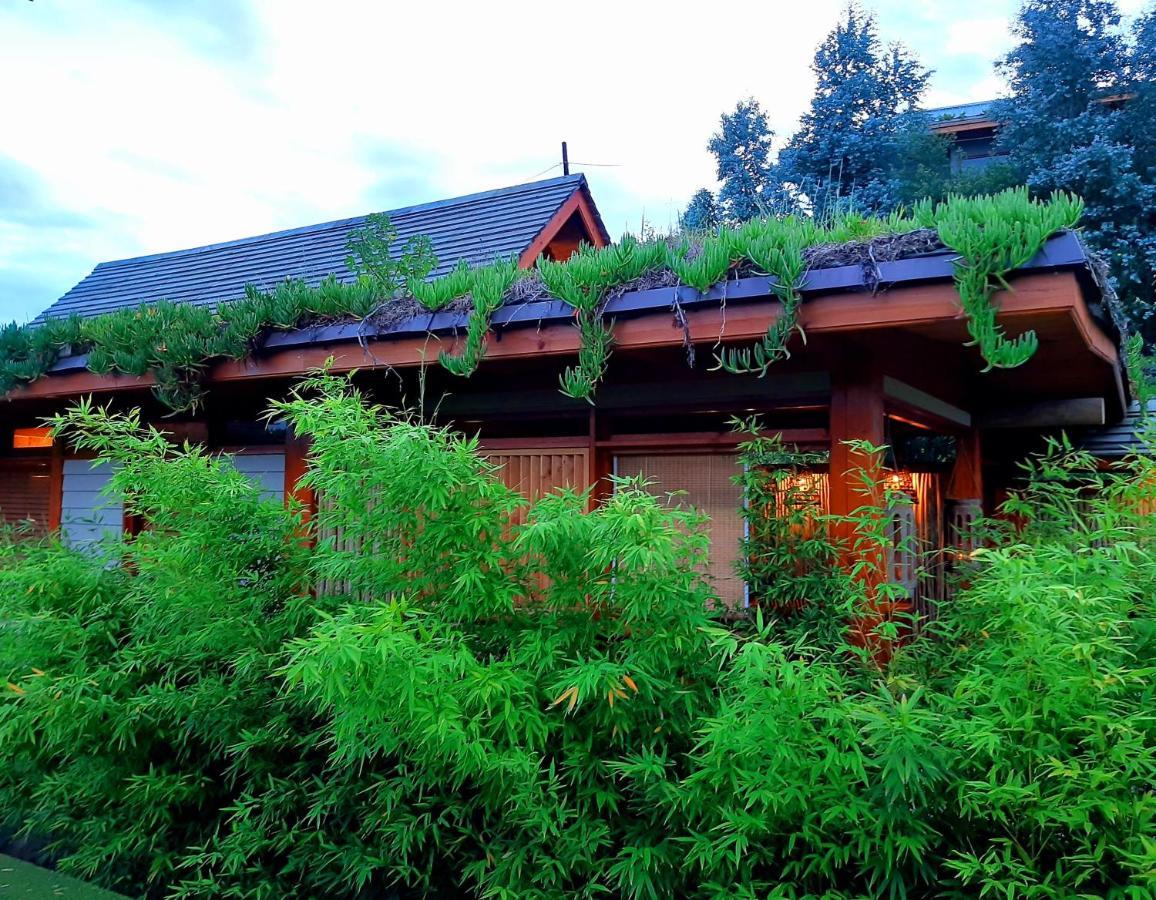 Paradise Private Zen Studios Knysna Extérieur photo
