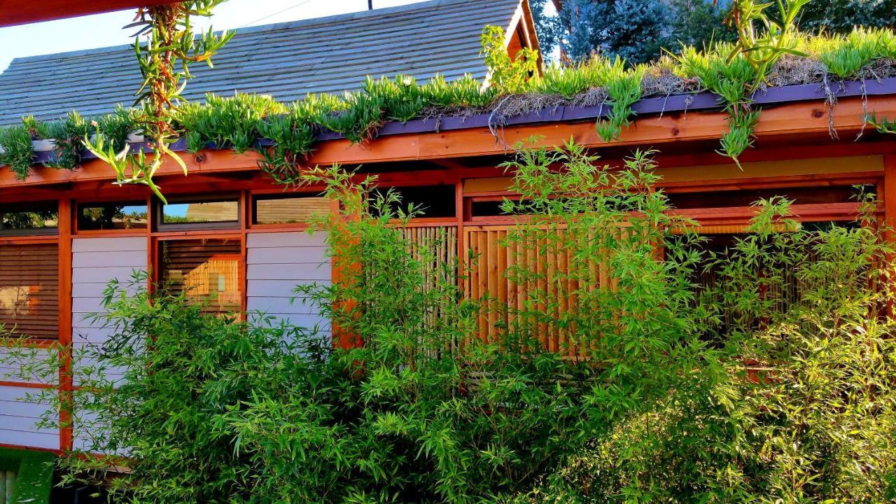 Paradise Private Zen Studios Knysna Extérieur photo