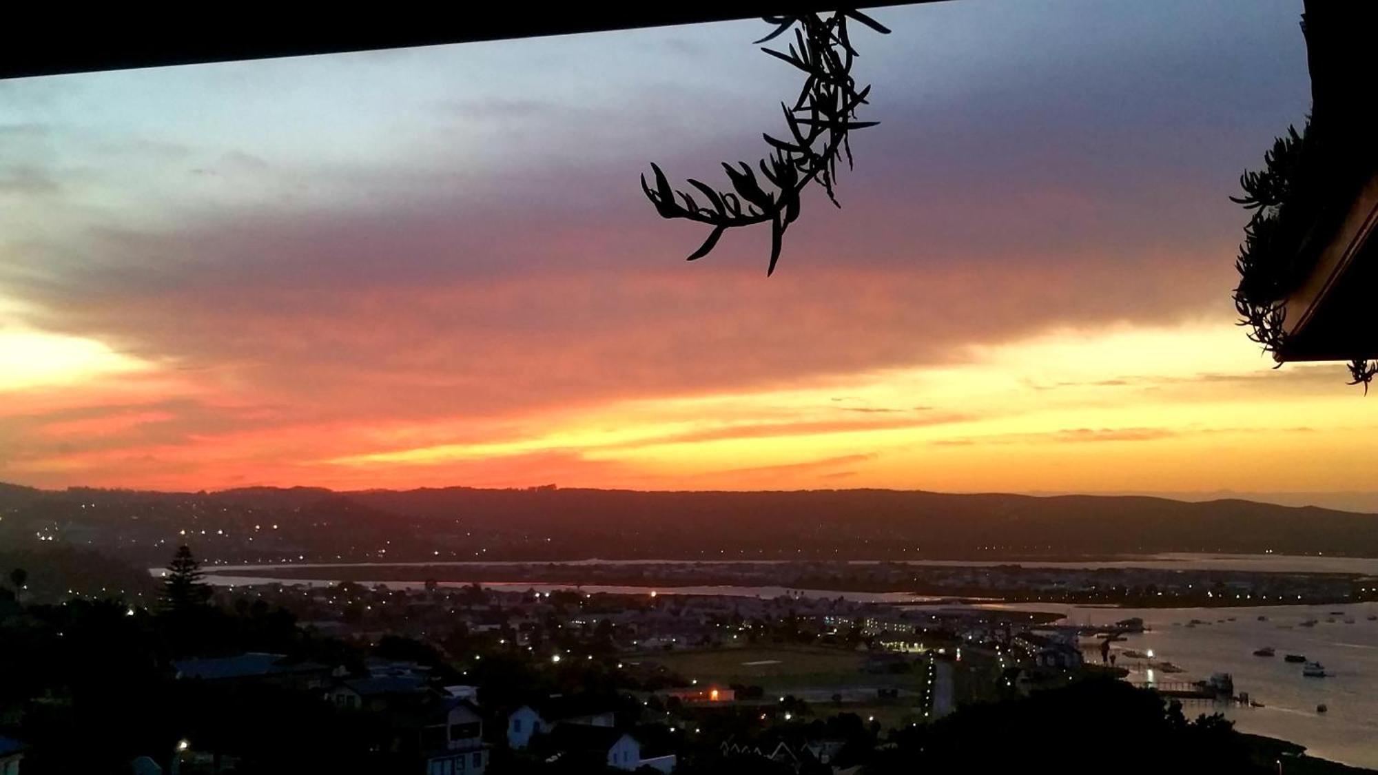 Paradise Private Zen Studios Knysna Chambre photo
